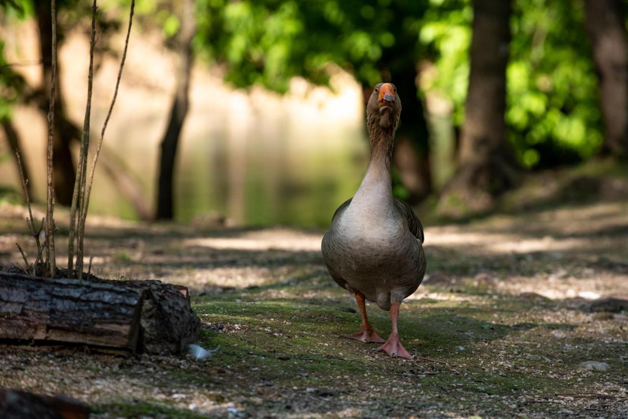 Hotel Kostelski Buk Bihac Luaran gambar